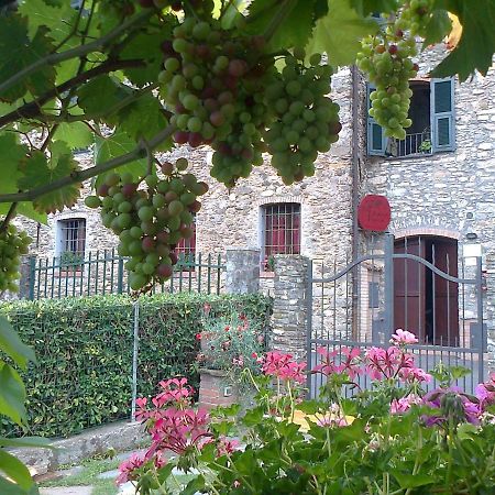 加尔伦达Agriturismo A Veggia Vigna别墅 外观 照片