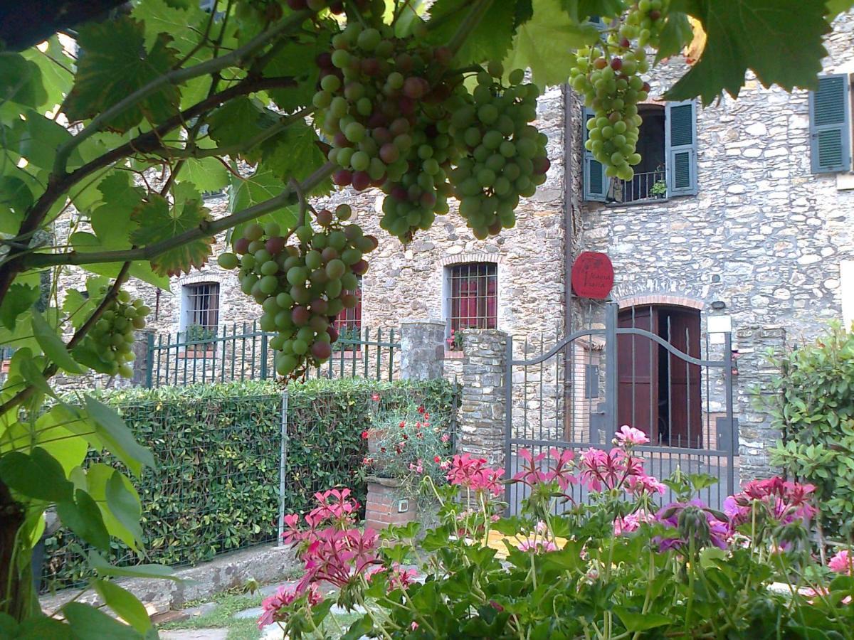 加尔伦达Agriturismo A Veggia Vigna别墅 外观 照片