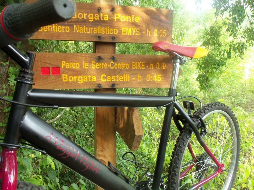 加尔伦达Agriturismo A Veggia Vigna别墅 外观 照片